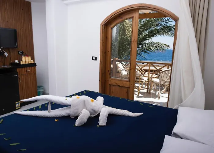 Penguin Village Dahab