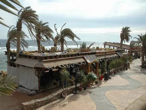 Penguin Village 3*